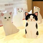 メッセージカード 封筒付き グリーティングカード かわいい 猫 シール 付き (ネコ ５枚 セット)