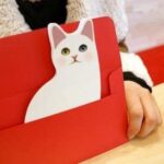 メッセージカード 封筒付き グリーティングカード かわいい 猫 シール 付き (ネコ ５枚 セット)